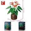 11033-anthurium andrae-800g-boîte couleur