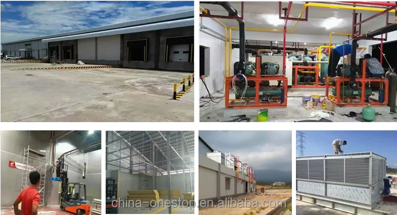 Cow slaughterhouse with meat processing and boning machines