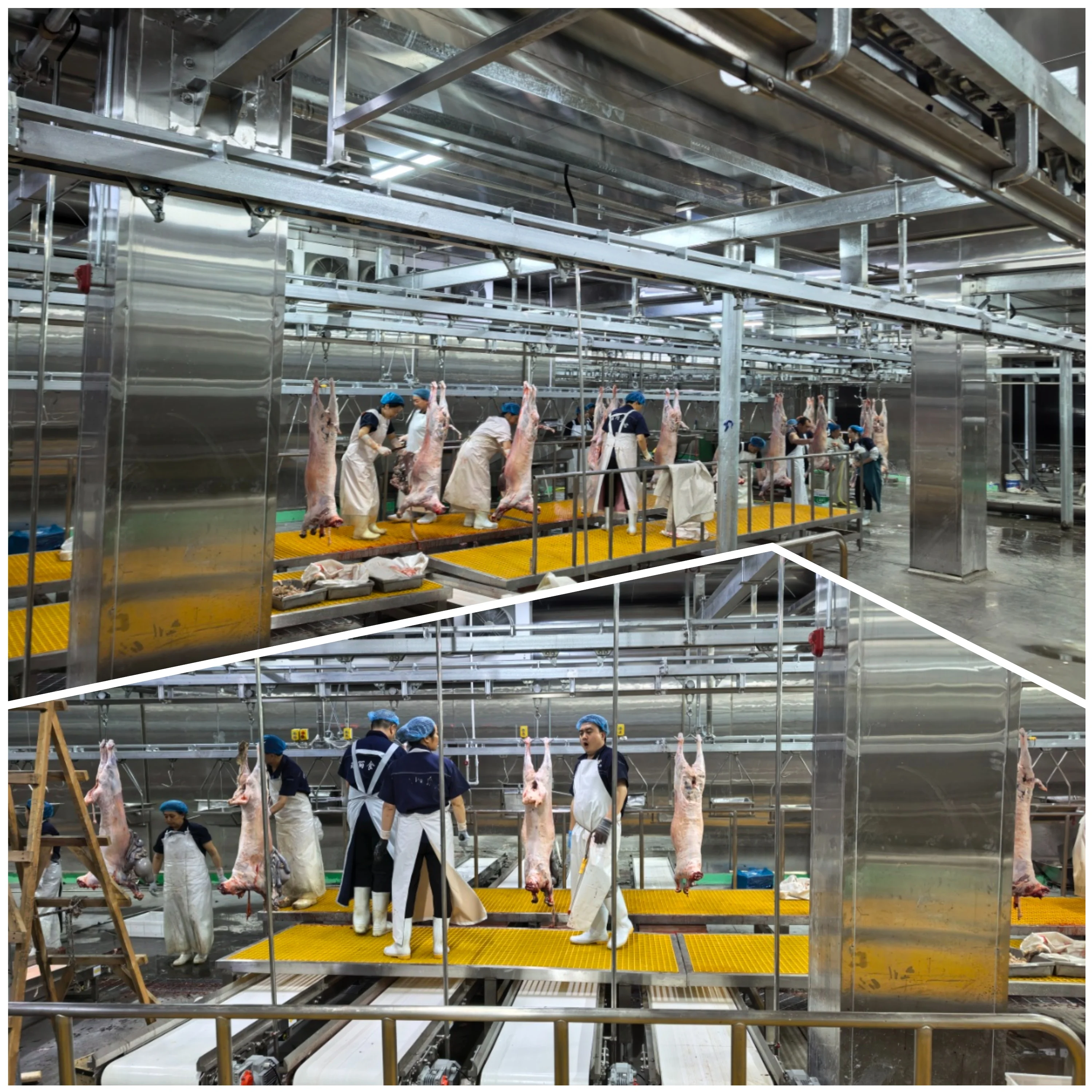 Automatic Halal Sheep Slaughtering Line Complete Goat Abattoir Machine Industrial Sheep Hair RemoveMachine for Meat Plant