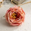 สีส้ม