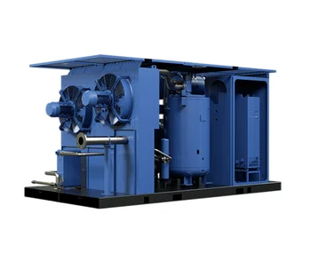 High Performance Air Compressor Screw Customized Air Compressor Screw Type Energy Saving Two Stage Screw Air Compressor