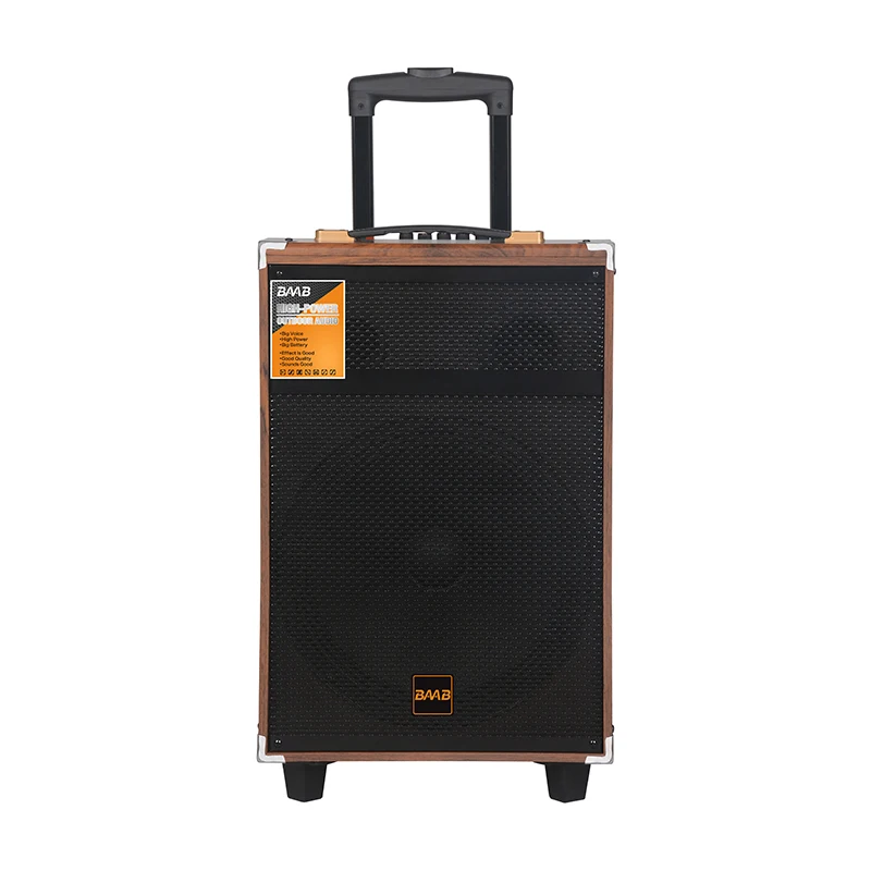 BAAB-Q8 8 Inch Mini Portable Karaoke Subwoofer Wireless Trolley Speaker with Powerful Bass and Microphone Trolley TWS  BOX AUDIO