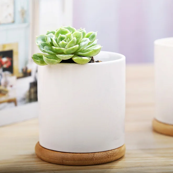 Benutzer definierte Mini runde weie Tpfe 3,55 Zoll Keramik Blume Pflanzer  Topf modernen Zylinder Blumentopf mit Drainage loch und Bambus schale