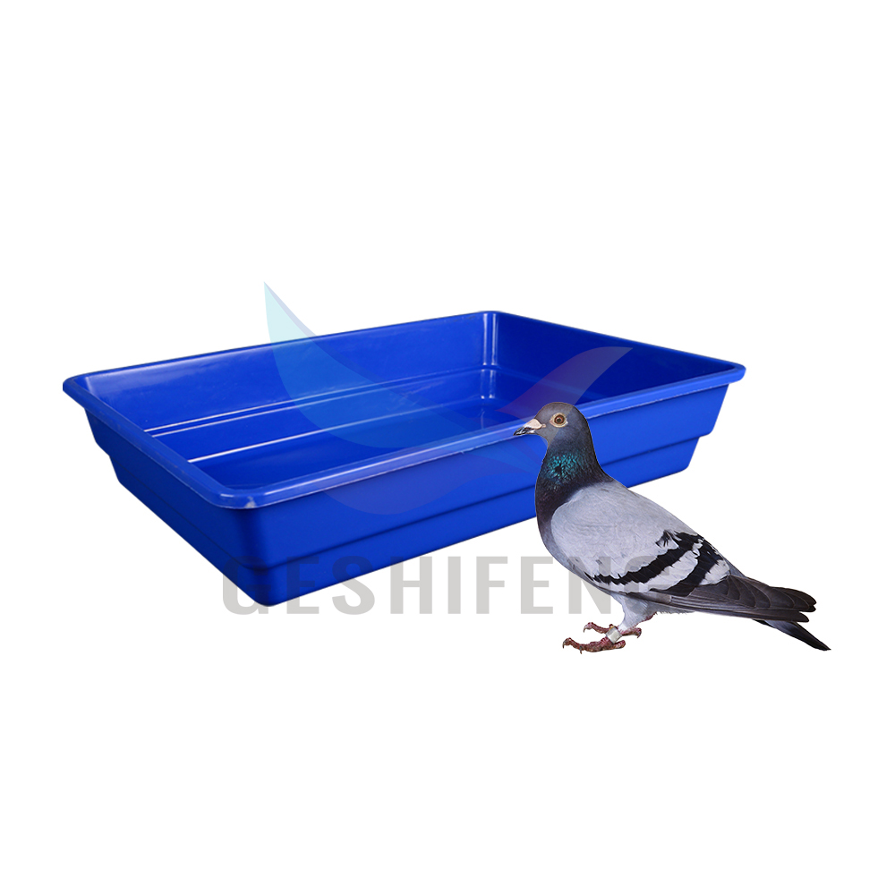 Pigeon Bird Pet Water Feeder Keep Healty tank for Pigeon Swimming Bathtub
