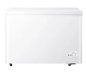 2026 New Style Competitive Price 200 L Single Door Horizontal Deep Chest Freezer Manual Defrost Energy-Saving Class