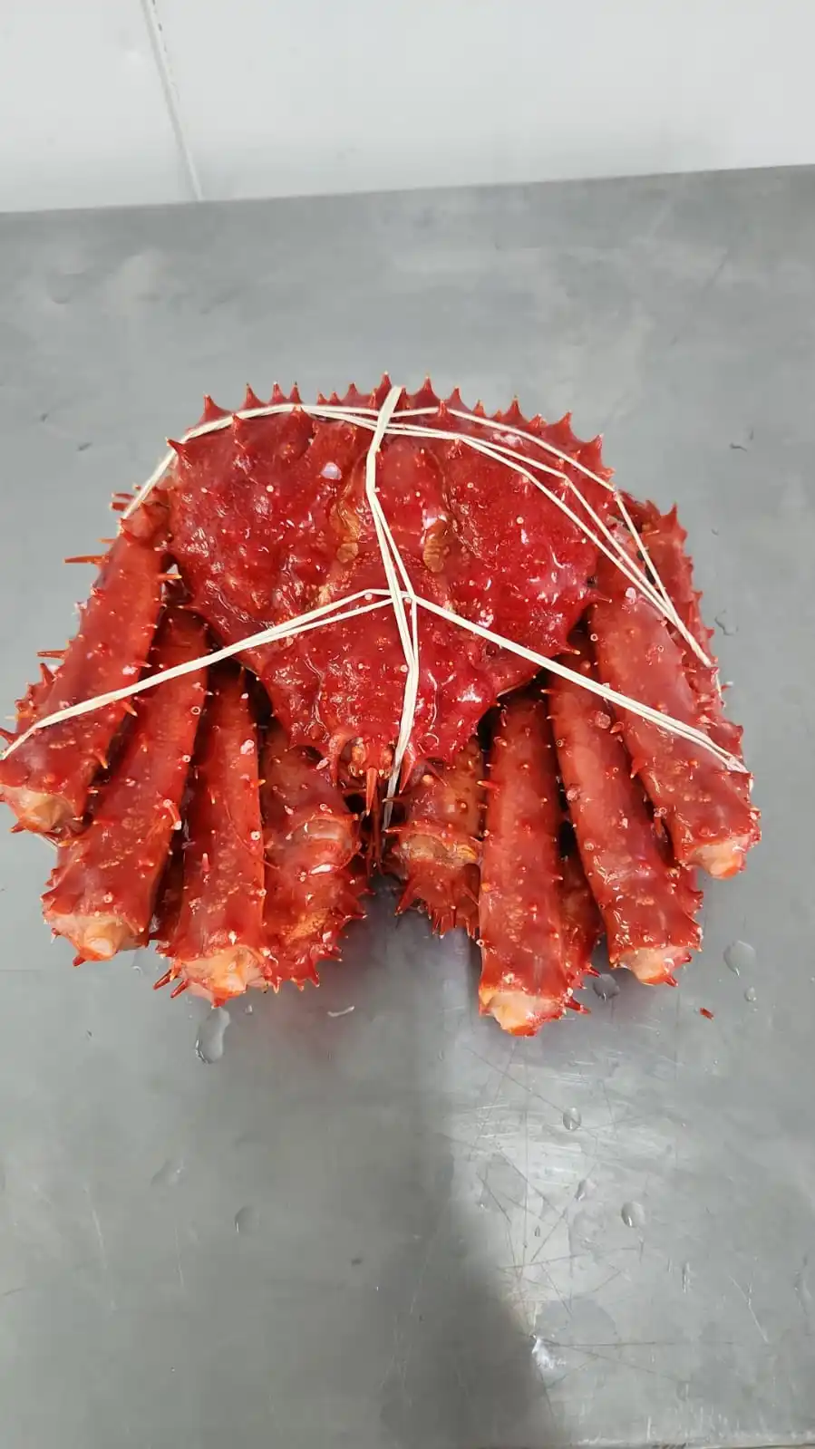 Frozen Whole Red King Crab Buy Price King Crab,Crab Legs King Crab