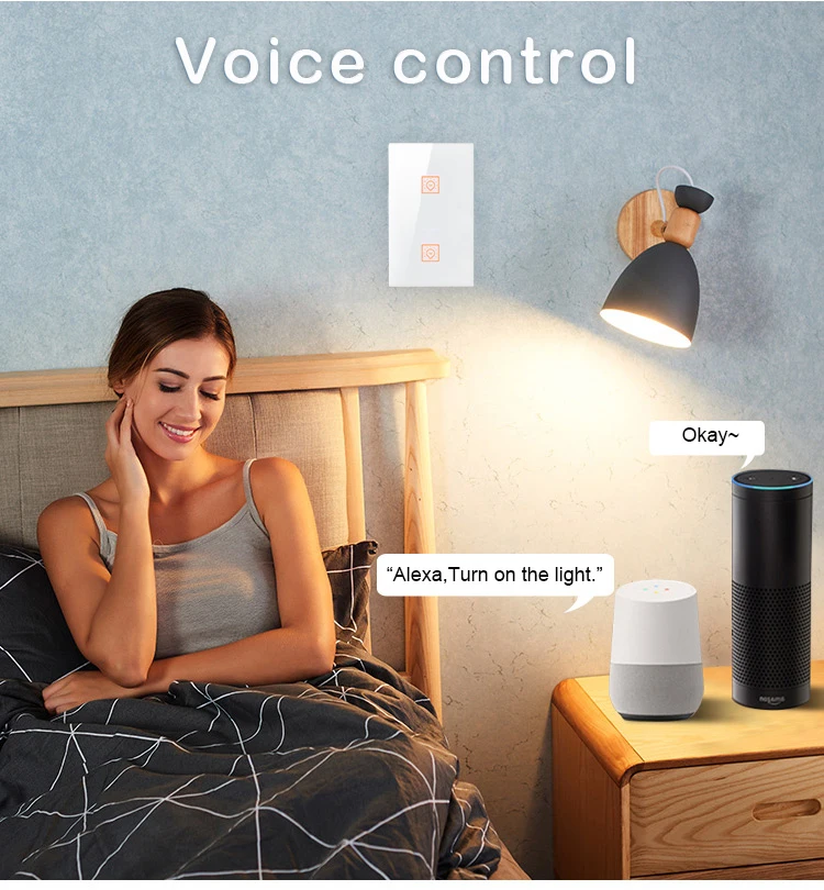 Amazon Echo 2 Gang Power Touch Голосовое управление Wifi переключатель Alexa для Google Home Smart Home