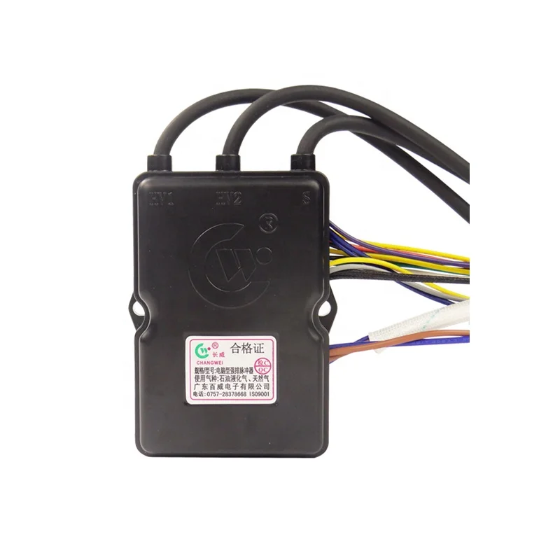 220V Pulse Igniter Turbo Forced Exhaust Type Gas Water Heater