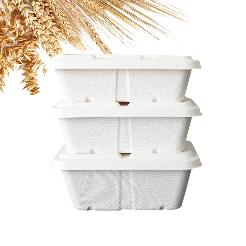 Bio Degradable Compostable Sugarcane Bagasse Microwave Safe Take Away ...
