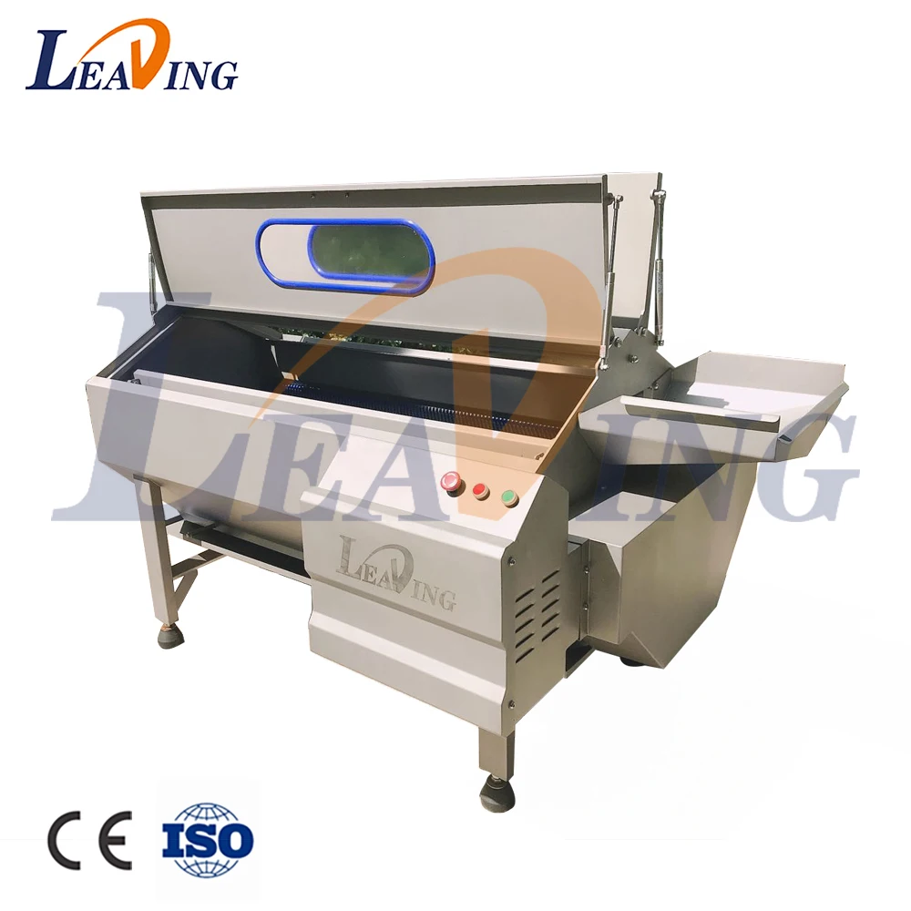 Industrial automatic Brush Washing Equipment Cassava Cleaning Ginger peeler machine to peel potatoes