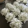Diametro 50 cm 2
