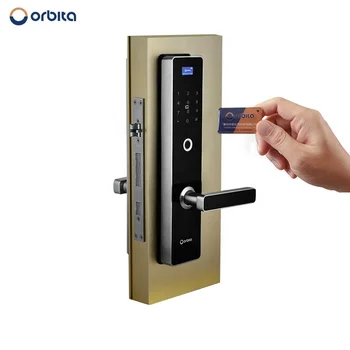 CE Certified Biometric Keyless Smart Lock with Wifi Internet Remote Manage Home Fingerprint For School Dormitory Wood Door