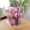 Polvo transparente Hug Bear