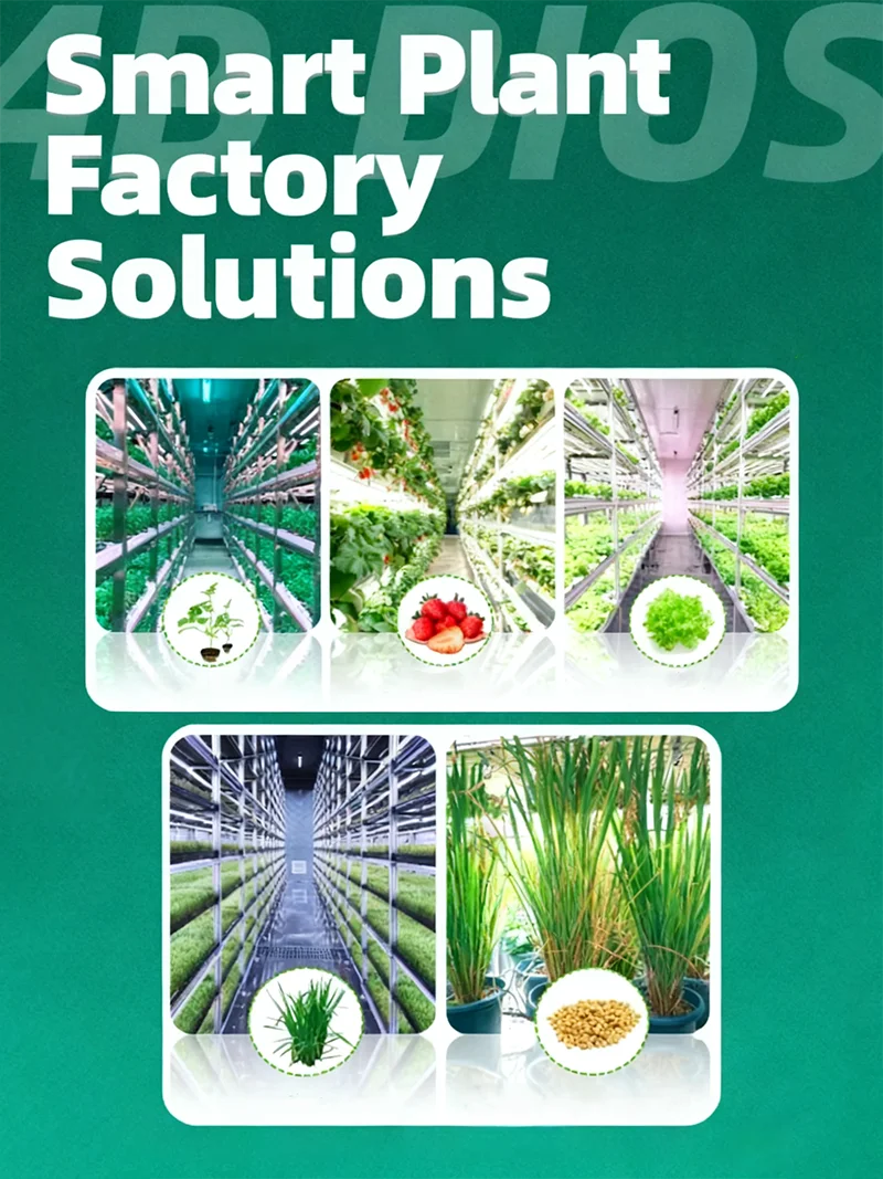 Fodder Growing System