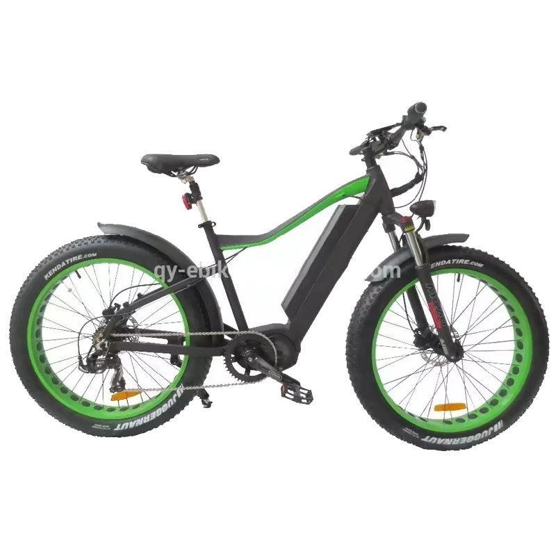 QUEENE/Full Suspension Bafang Max System Mid Drive Mountain Electric  Bicycle 48V Electric Fat Bike 1000w