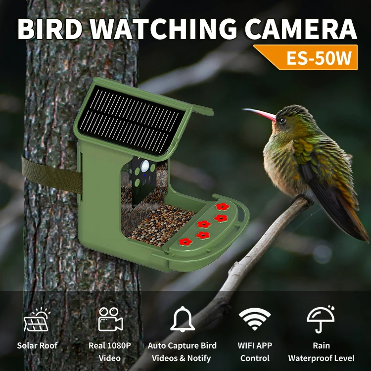 Solar Panels 1080p Wifi Smart Bird Feeders Camera With Motion Detection