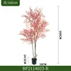 160CM/Nandin(Rouge)
