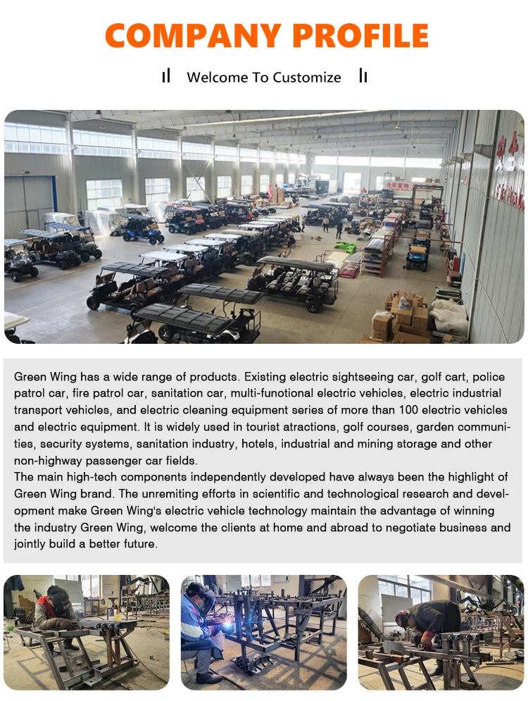 Factory Straight Hair Customized Brand And Logo Golf Carts Electric 4 Seater Lifted With CE supplier