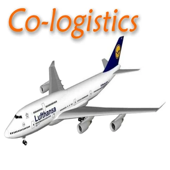 Competitive Reliable Shipping Rate in China to Germany Cargo Delivery to Door Service