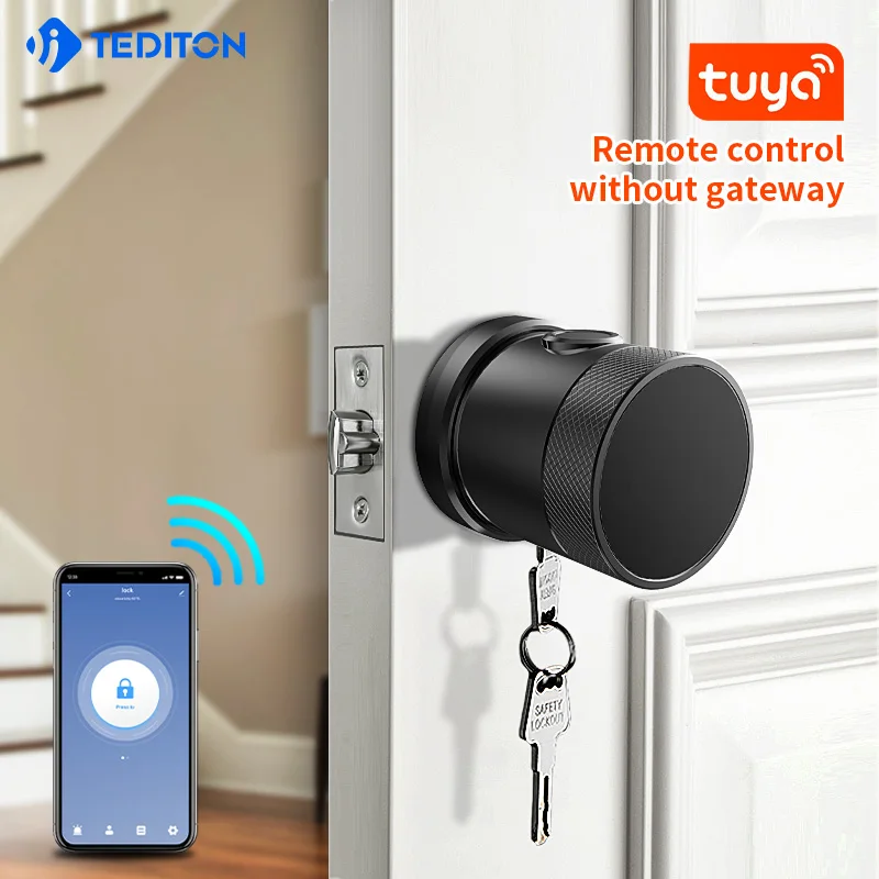 Tediton Electric Wifi Fingerprint Scanner Mechanical Key Combination Magnetic Smart Door Lock