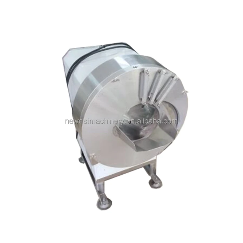 Radish Slicer Carrot Shredder Ginger Slicing Machine Olive Vegetable  Shredder Machine for Sale with CE Approved - China Ginger Cutter, Ginger  Slicing Machine