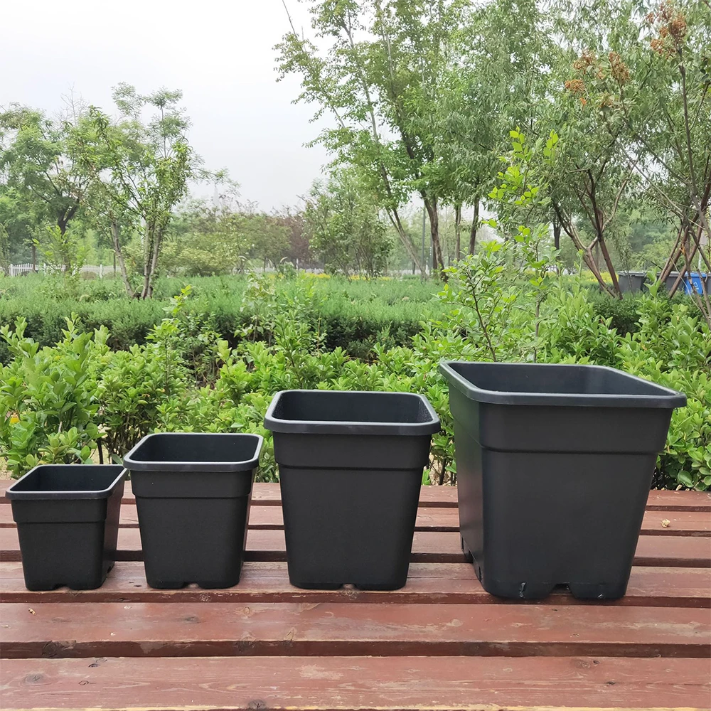 Wholesale Pp Black 1 2 3 5 7 10 Gallon Square Plastic Nursery Seedling