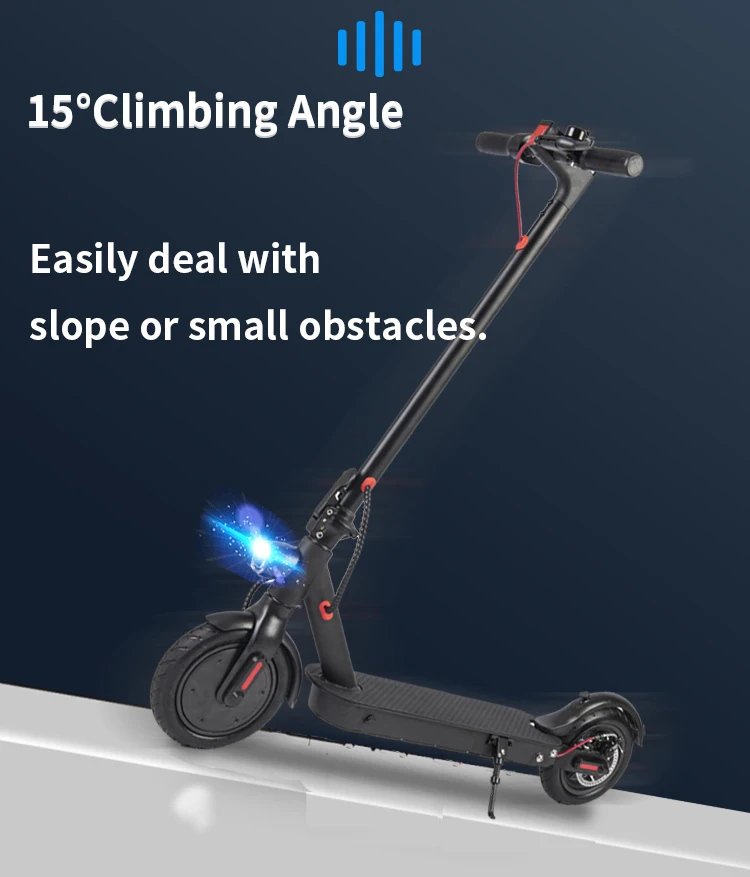 E9d 350w Foldable Citycoco Two Wheels Powerful Adult Electric Mobility