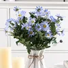 Daisy004