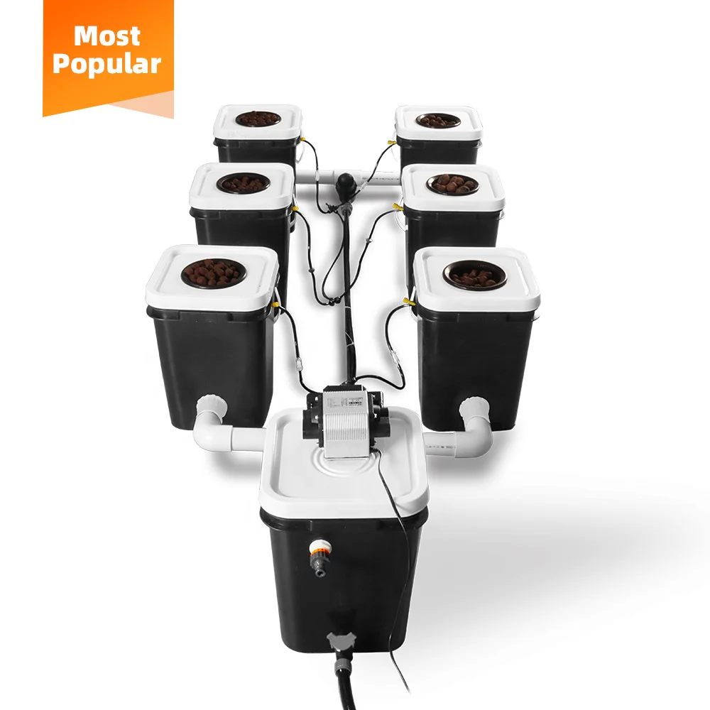 Sunplus Rdwc Automatic Garden Irrigation System Dwc Hydroponic Bubble 5 Gallon Dutch Bucket for Greenhouse