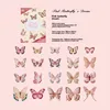 C El sueño de la mariposa rosa