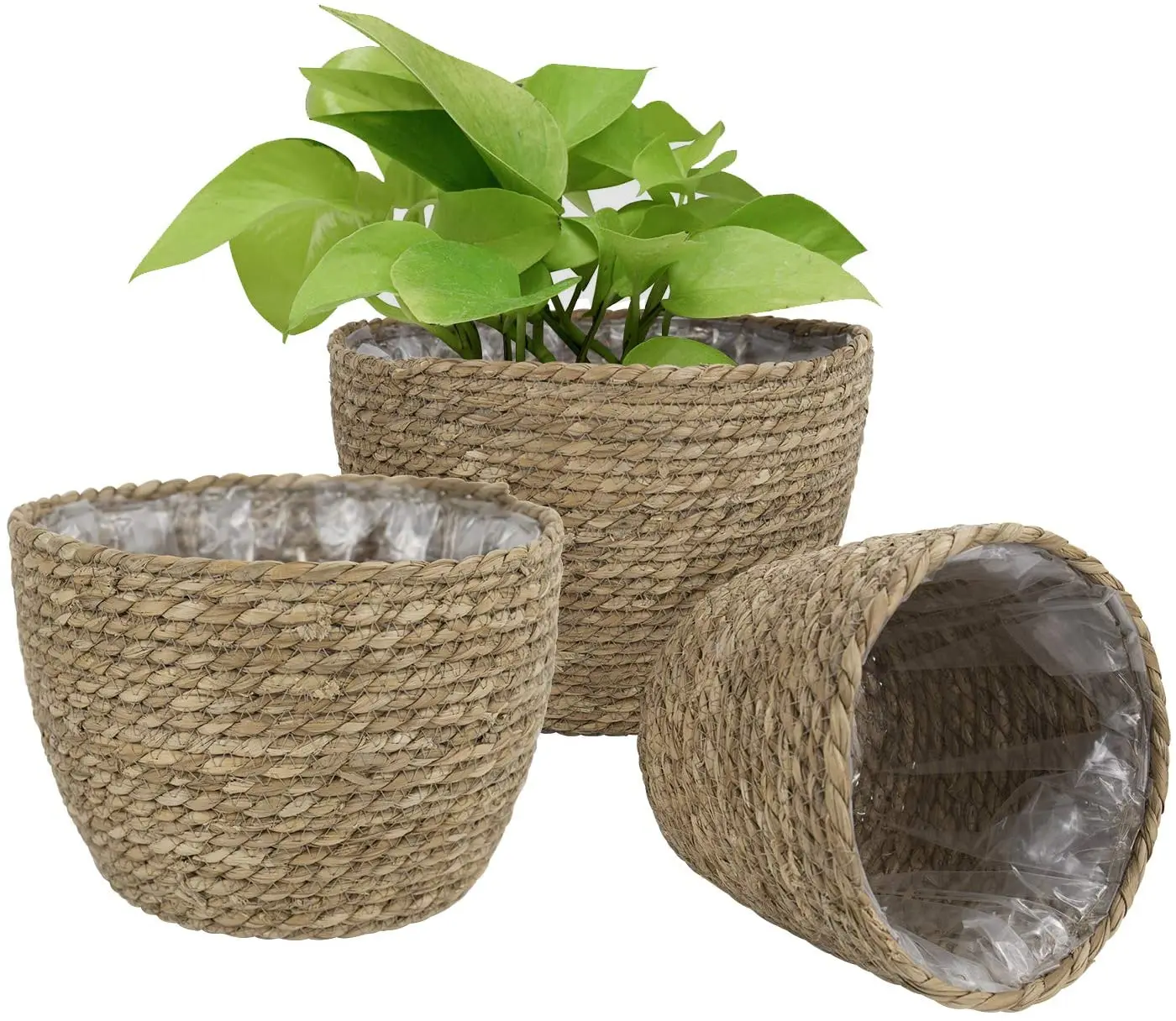 Seagrass Basket Planter Stand Boho Woven Planter