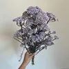 Lavanda