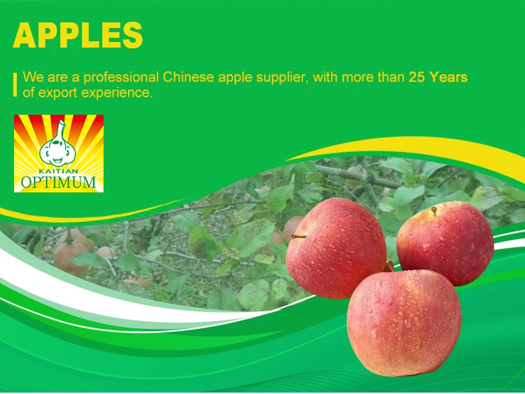 Fresh Red Fuji Apple Fruit Fresh Natural Fresh Apple Manufacturers ...