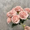 สีกากี