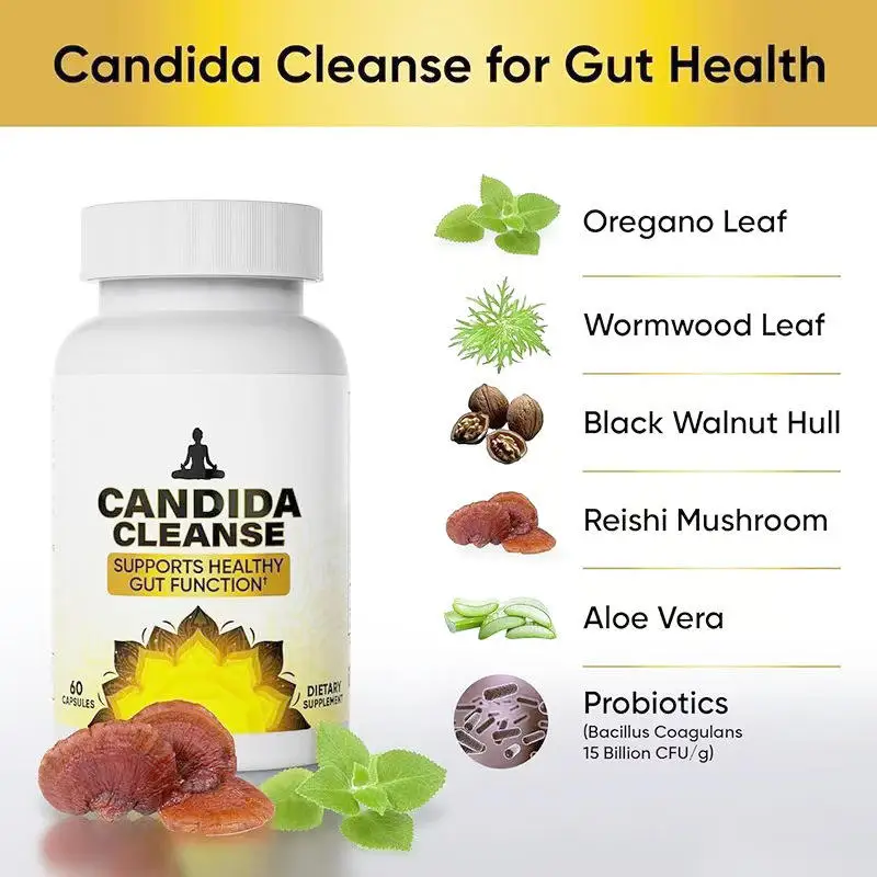 OEM Candida Cleanse-Advanced Probiotic Natural Herbal Formula Gut & Colon Support 60 Capsules Dropshipping for Adults Men Women