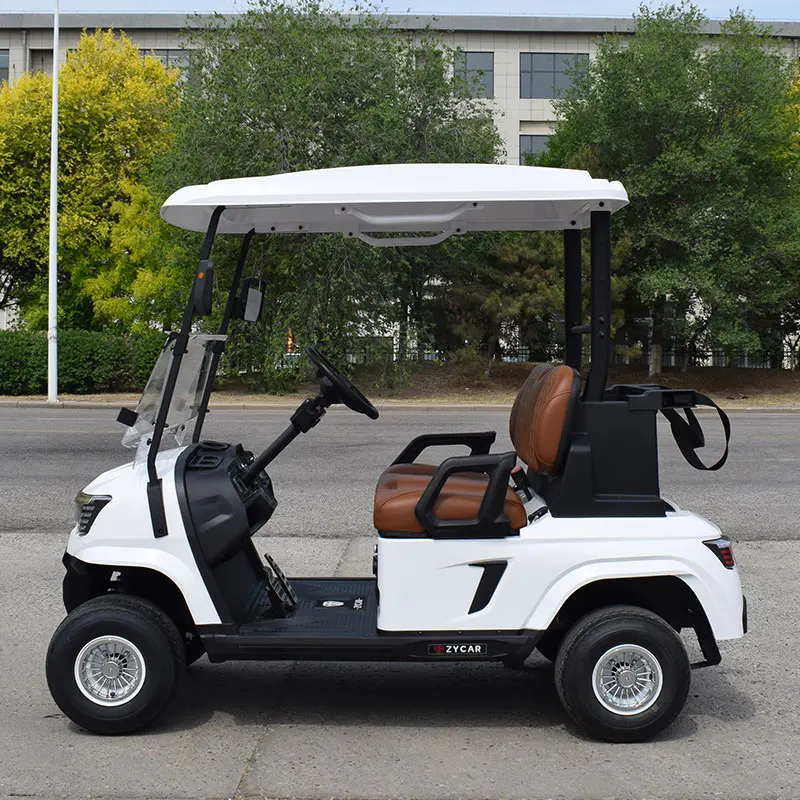 2024 Latest Design Mini Electric Golf Cart Custom 2 Seater Lithium Battery Golf Car
