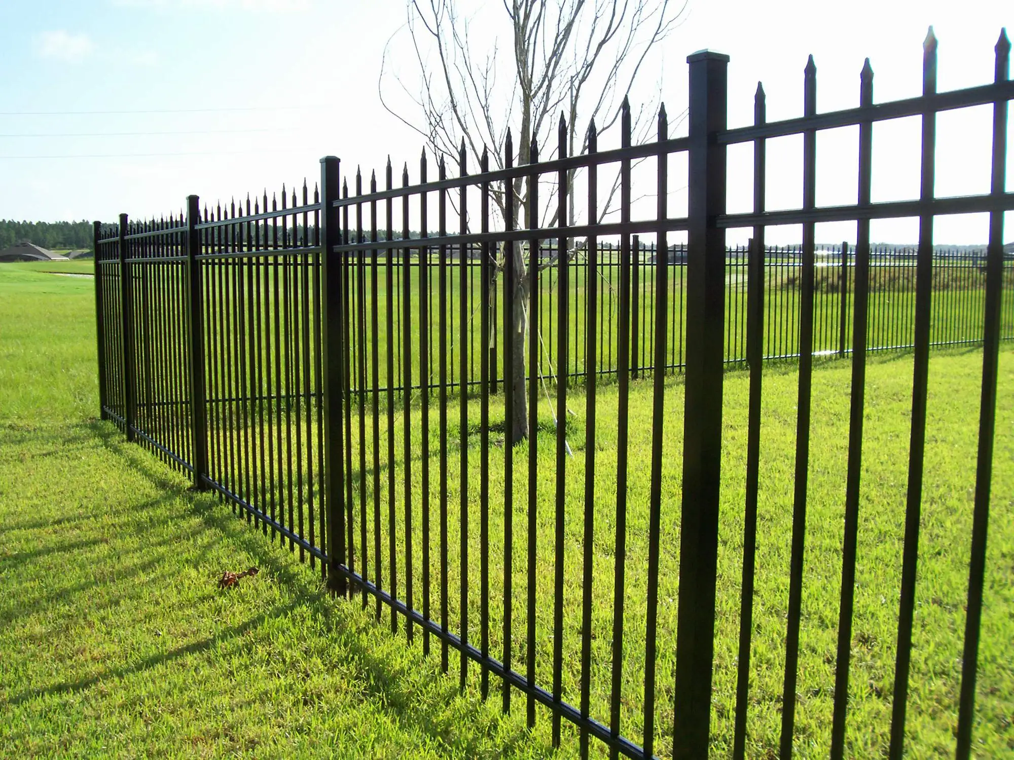 Wholesale 6ftx8ft Garden Black Metal Fences Anti Rust Galvanized Steel   H10e1f151305a4b669a990da2c1d662f7v 