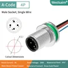 M12-A-4P male M12*1.0