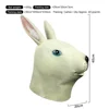 White Rabbit