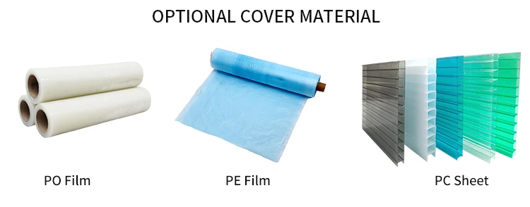 Economical Multispan Rain Shelter Greenhouse with Hot Galvanized Steel Frame for Kiwi Growing