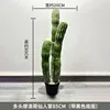 Cactus marroquí de múltiples cabezas, 85 cm (viene con base negra)