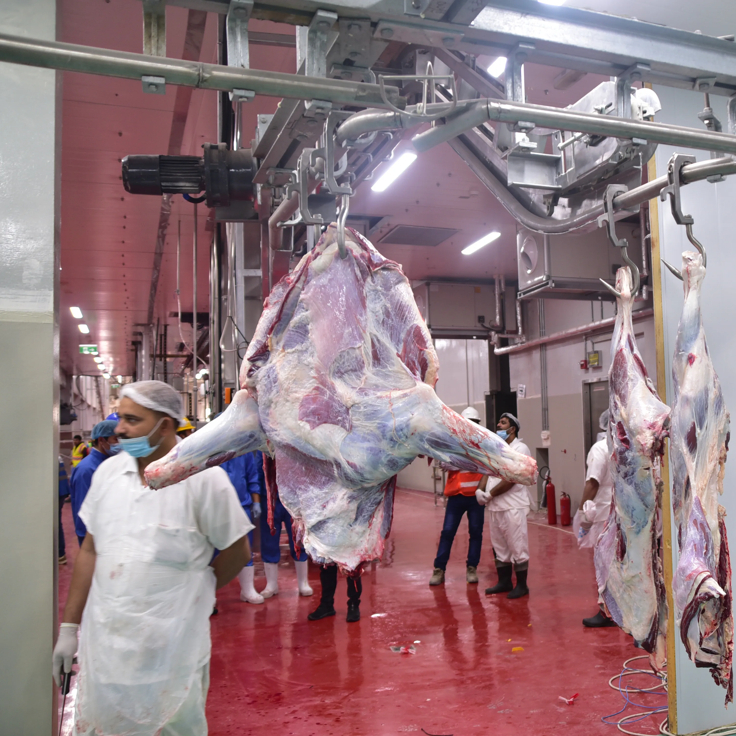 Automatic sheep slaughtering line with durable sheep deboning conveyor for sheep slaughterhouse