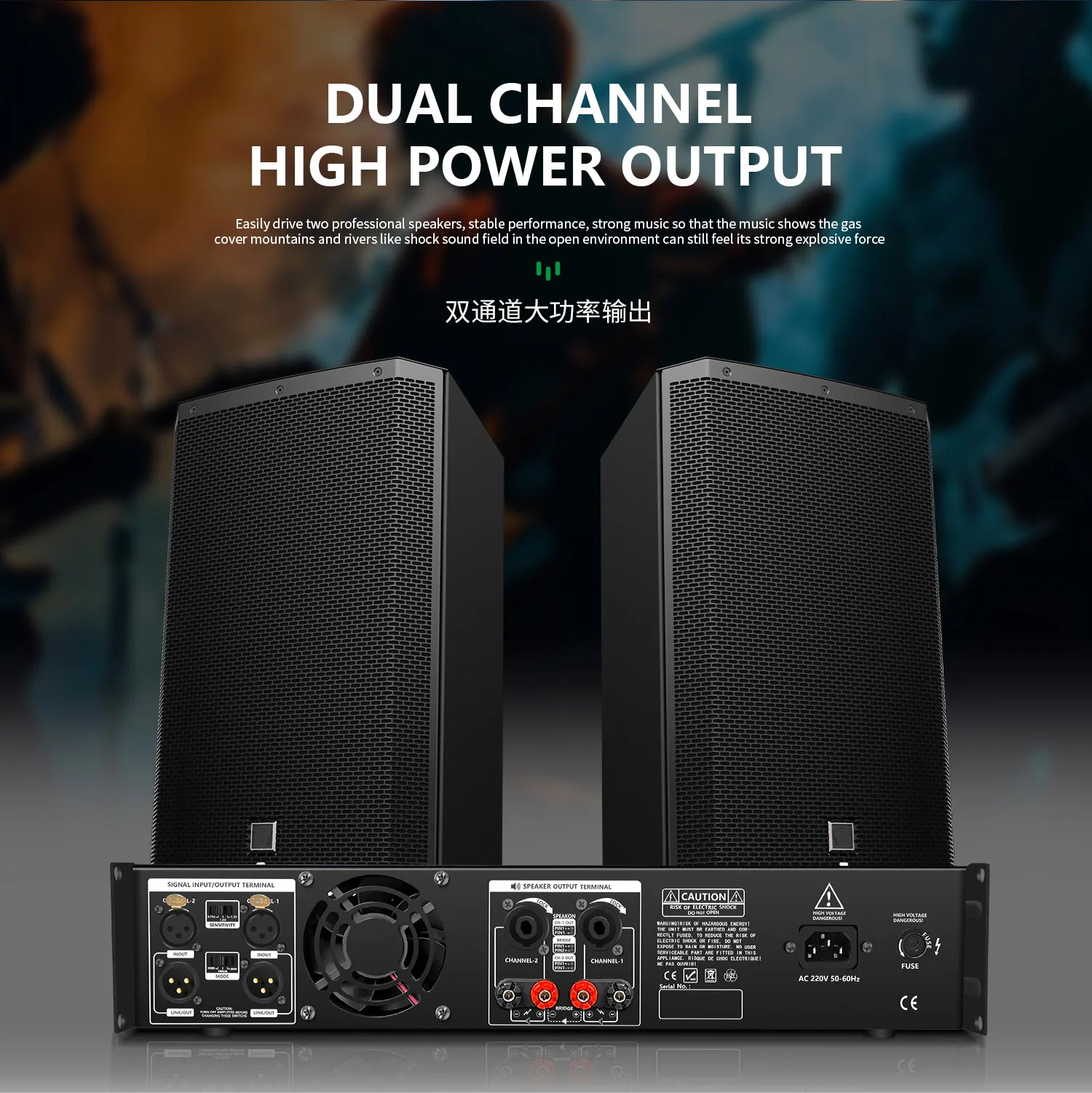 GAP-LS1000 2 Channel Digital Amplifier - 10000W Professional Mixer