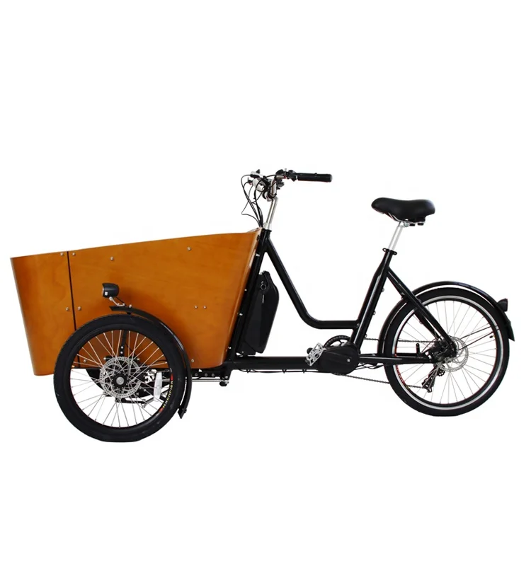 Electric Cargo Bike Wheel Trike for Family Use OEM Wholesale