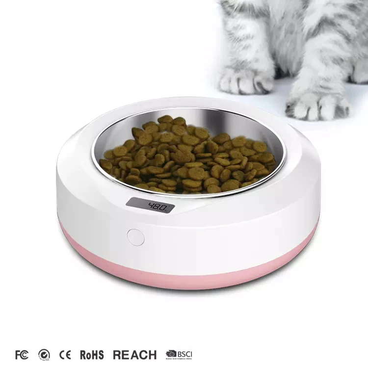 digital dog feeder