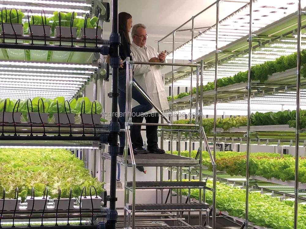 Automated Intelligent Planting System Container Farm Multi-layer Vertical NFT Hydroponic Soilless Cultivation System 0