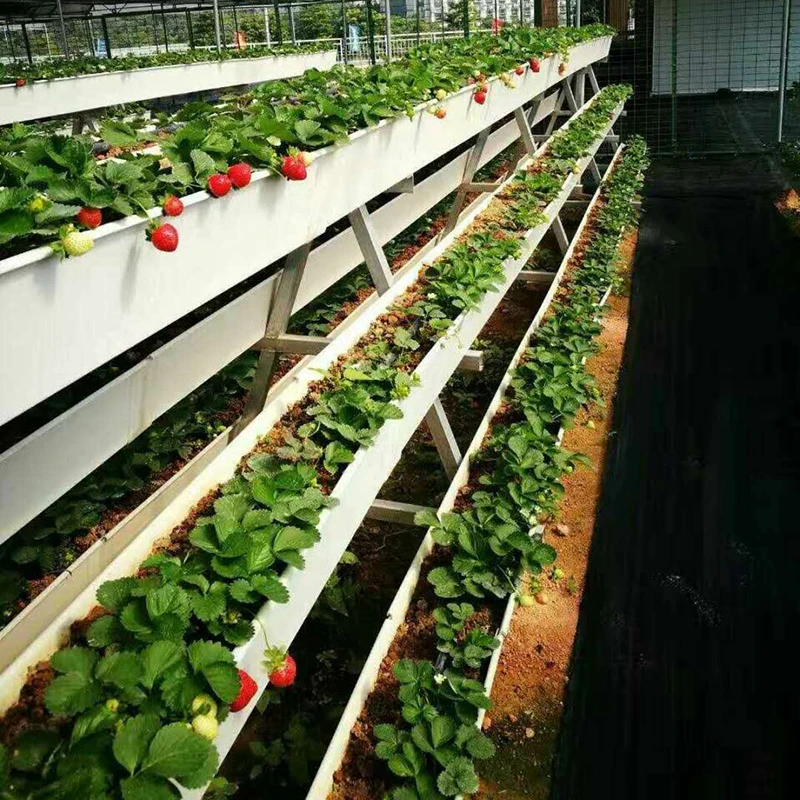 strawberry gutter planters