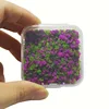 colorful Purple - mo small box pack
