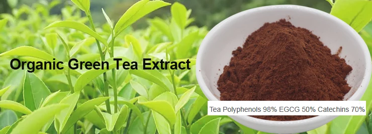Organic Natural Green Tea Extract