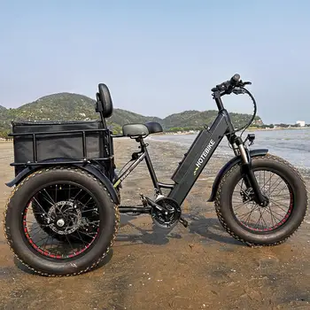 battery powered three wheel bike